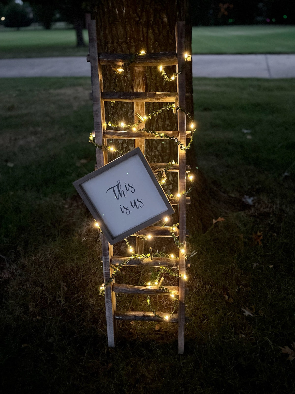 "This Is Us" Picture Ladder